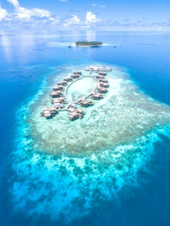 Отель Raffles Maldives Meradhoo